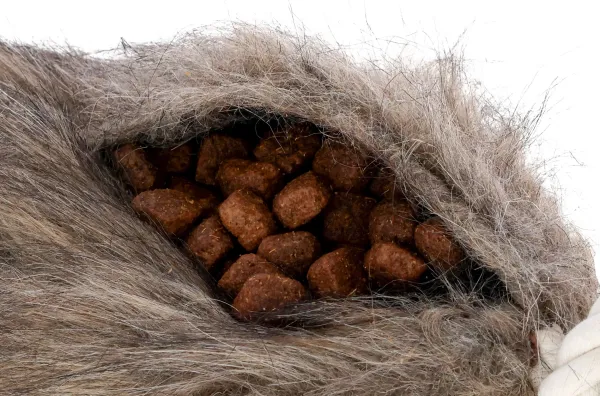 Lottchen Reizangel inkl Snackdummy Plüsch - Komplettset Trainingsangel ca. 47-130 cm für Hunde mit Futterbeutel