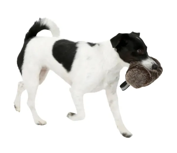 Futterdummy - Snackdummy für Hunde in Felloptik für Trockenfutter und Nassfutter