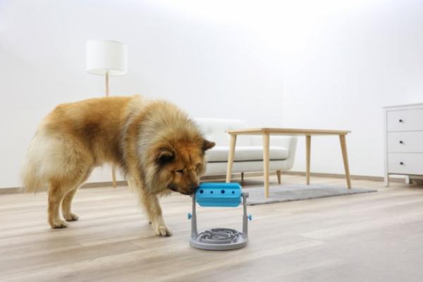 Intelligenzspielzeug und Antischling Napf für Hunde - Snackrolle Anti-Schling - Kerbl Pet