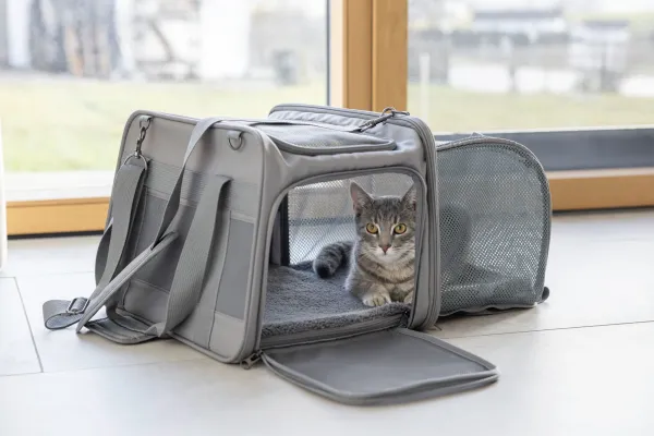 Transporttasche für kleine Hunde z.B. Chihuahuas und Katzen, mit Auslauf, ideal für Camping, Ausflüge etc 44 x 31 x 30cm