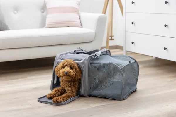 Transporttasche für kleine Hunde z.B. Chihuahuas und Katzen, mit Auslauf, ideal für Camping, Ausflüge etc 44 x 31 x 30cm