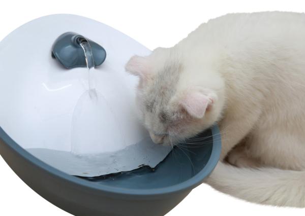 Trinkbrunnen für Hunde und Katzen Classic Pet Fountain EYENIMAL 1,75 Liter
