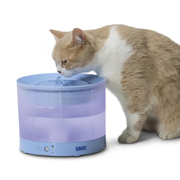 Trinkbrunnen Sensa Savic 2,3 Liter kabellos - Katzenbrunnen und Hundebrunnen für kleine Hunde, beleuchtet, USB C