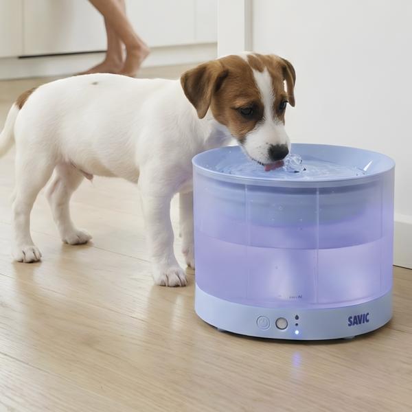 Trinkbrunnen Sensa Savic 2,3 Liter kabellos - Katzenbrunnen und Hundebrunnen für kleine Hunde, beleuchtet, USB C