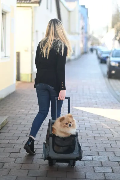 Hundetrolley Vacation 41 x 26 x 55 / 103 cm, grau / blau - Trolley für kleine Hunde - Transporttrolley als Autositz und Hunderucksack nutzbar