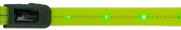 Vorderzeug LED - Vorderzeugriemen für Pferde aufladbar, bis zu 300 m sichtbar