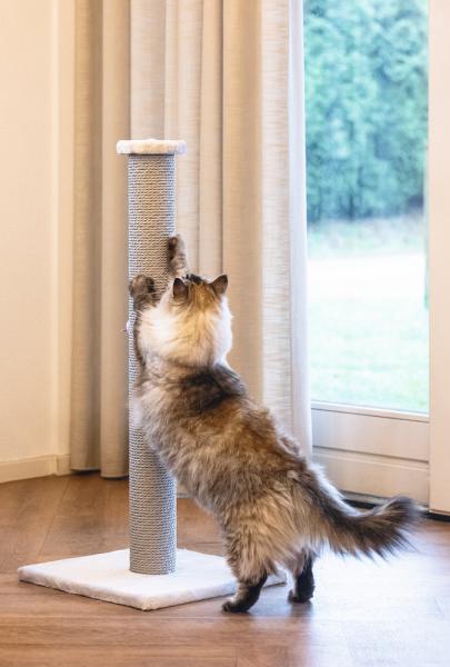 Beeztees Katzenkratzbaum - Kratzstamm Figo grau