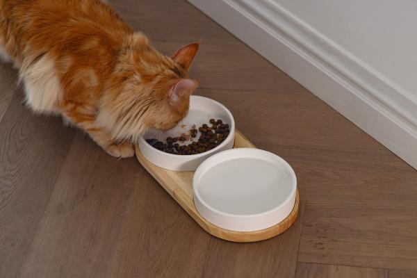 Dinnerset Lojs Designed by Lotte, Katzennäpfe, Napfset aus Holz mit Keramiknäpfen, Futterbar für Katzen