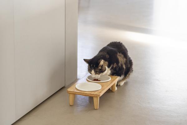 Holz Dinnerset Djeha Designed by Lotte - Futterbar - Doppelnapf für Katzen