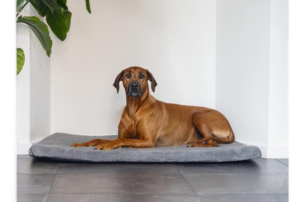 Hundebett Ito grau