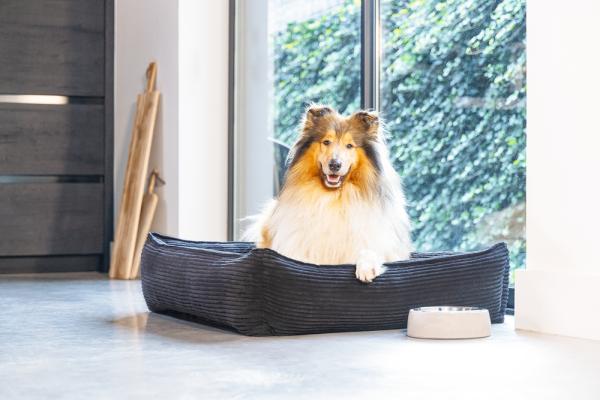 Cord Hundebett anthrazit Designed by Lotte ribbed