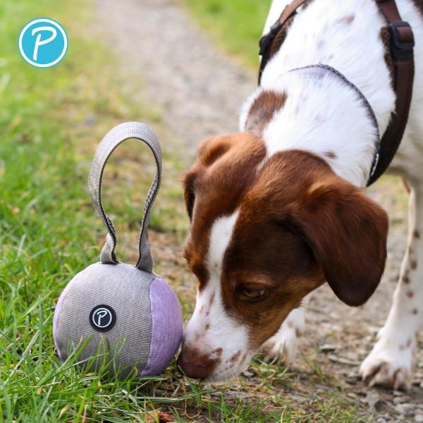 Wurfball mit Schlaufe Everest Petlando - Hundespielball robust, ideal zum Weitwurf