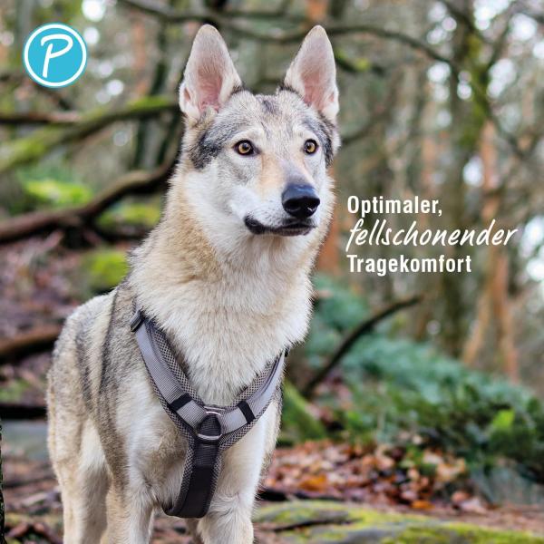 Petlando Geschirr Mesh Y-Comfort Brustgeschirr für Hunde - Hundegeschirr