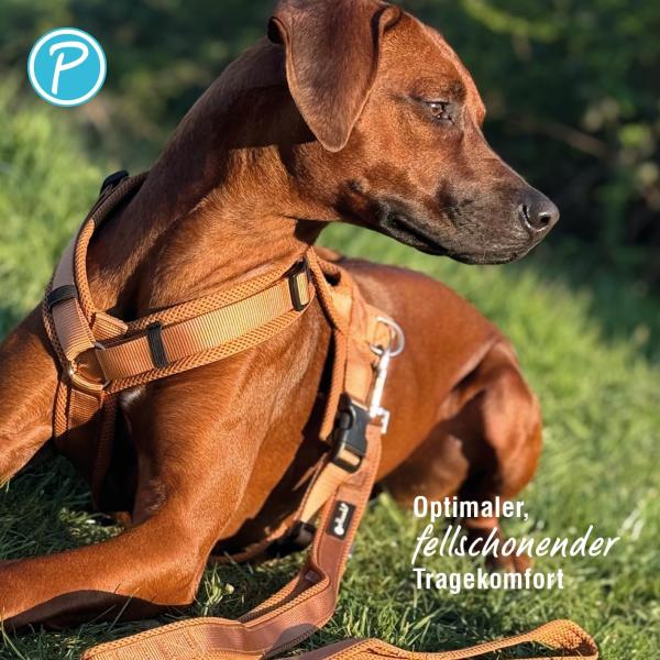 Petlando Geschirr Mesh Y-Comfort Brustgeschirr für Hunde - Hundegeschirr