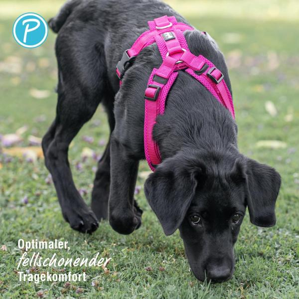 Petlando Geschirr Mesh Y-Comfort Brustgeschirr für Hunde - Hundegeschirr
