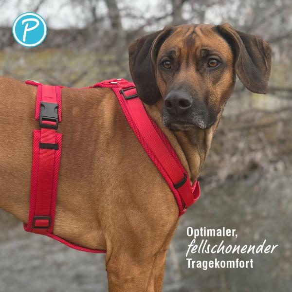 Petlando Geschirr Mesh Y-Comfort Brustgeschirr für Hunde - Hundegeschirr