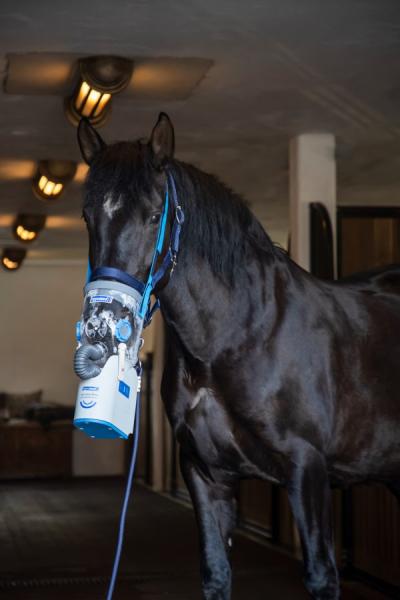 AirOne Flex inkl. Maske [3 Größen] Hippomed Air One Akku Ultraschall Inhalator für Pferde - Inhaliergerät