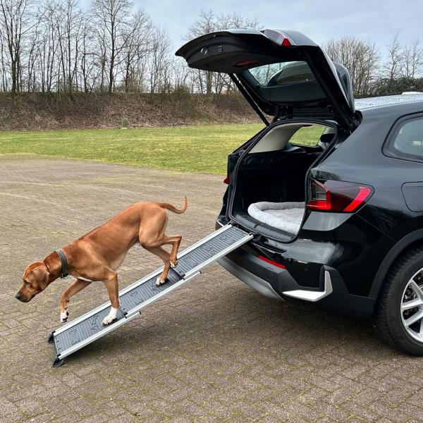 Ausstiegsholfe für Hunde aus dem Kofferraum