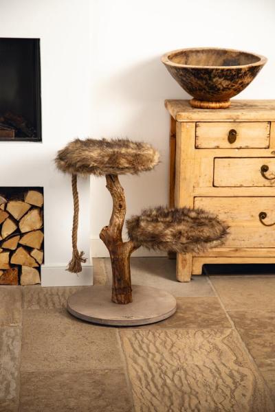 Designed by Lotte Aviva