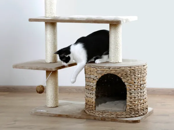 Katzen Kratzbaum Kerbl Banana Leaf Jade - handgeflochtene Liegefläche und Höhle aus nachhaltigen Bananenblättern
