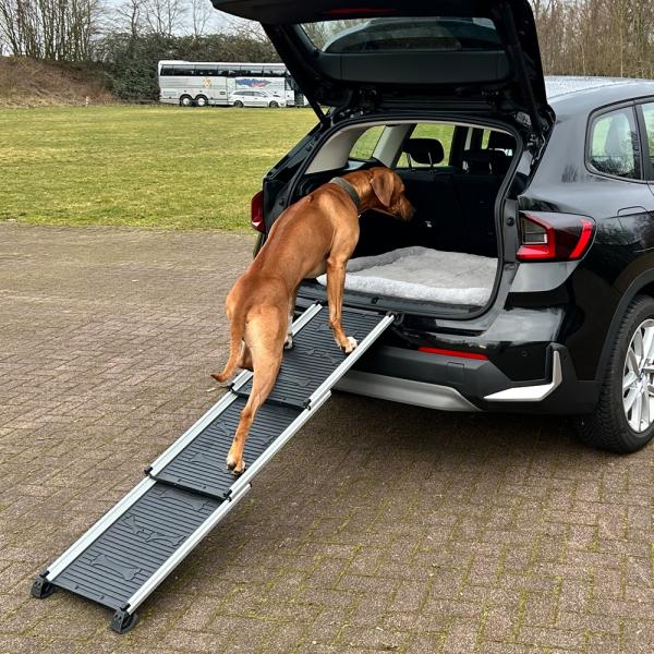 Einstiegshilfe für Hunde in den Kofferraum