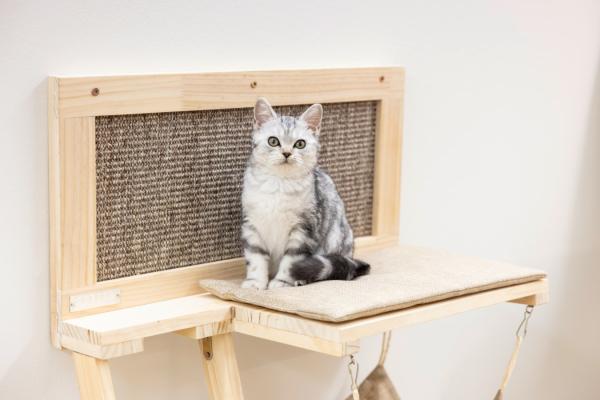 Katzen Wandliege, Liegebrett Timber - mit Kratzbrett, Hängematte und Katzenleiter - stilvolle Katzenmöbel zur Wandmontage