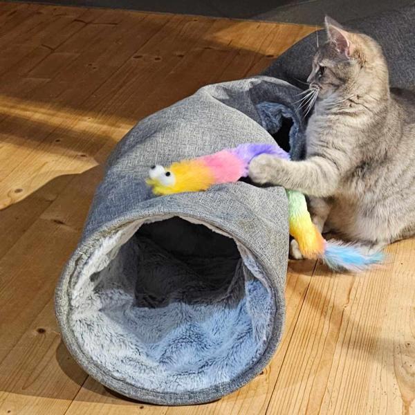 Katzentunnel XXL Nobby Gauri
