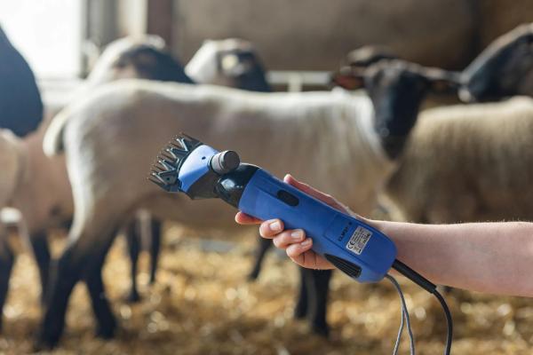 Kerbl Schafschermaschine FarmClipper 4 inkl. Schermesser Set - Schermaschine für Schafe
