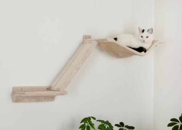 Katzenkletterwand