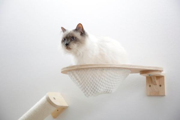 Kerbl Kletterwand Anden für Katzen Echtholz - Katzenspielplatz zur Wandbefestigung