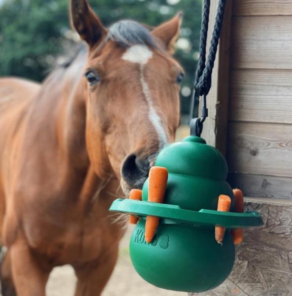 Kong Kit für Pferde