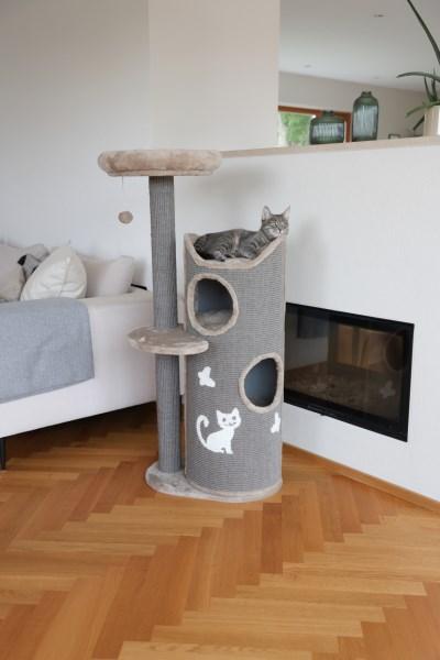 Kratzbaum mit Kratztonne