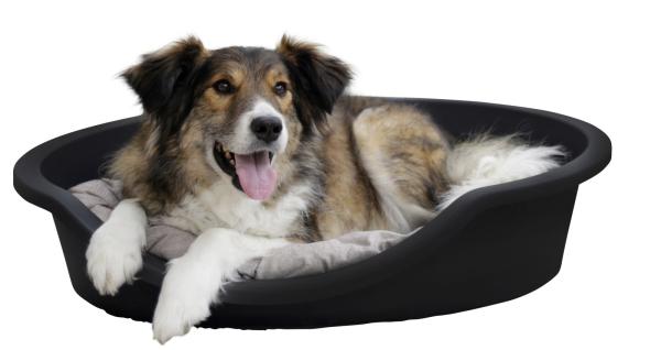 Hundebett aus recyceltem Kunststoff - Kerbl Pet Dreamer - Kunststoffbett für Hunde und Katzen