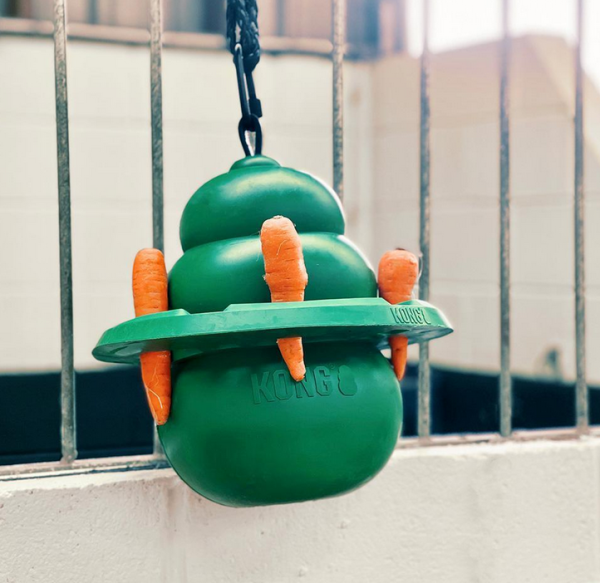 Kong Kit für Pferde Beschäftigungsspielzeug mit extra Ring - Equine (Pferd) 12 Zoll (30cm) Classic Green 4.5lb (2kg)