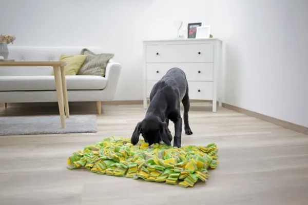 Schnüffelteppich - Schnüffelmatte für Suchspiele und Schnüffelspiele, bremst Schlinger aus (Slow Feeder)