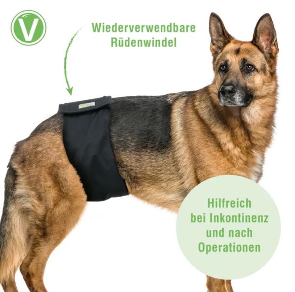 Rüdenwindeln waschbar 60 Grad - Hundewindel für Rüden mit saugfähigem Kern, geruchsarm