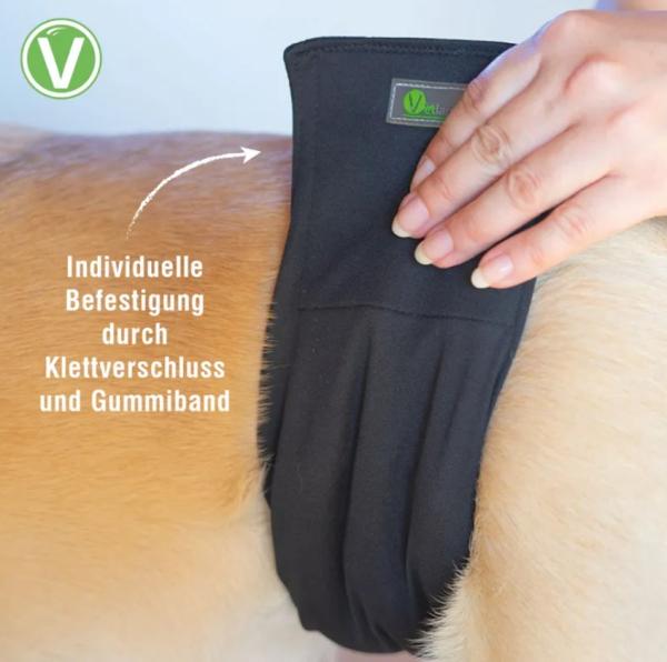 Rüdenwindeln waschbar 60 Grad - Hundewindel für Rüden mit saugfähigem Kern, geruchsarm