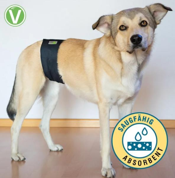 Rüdenwindeln waschbar 60 Grad - Hundewindel für Rüden mit saugfähigem Kern, geruchsarm