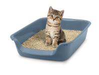 Katzentoilette für kleine Katzen und Kitten