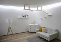 Katzenspielplatz Wand Kerbl Top XL - Kletterwand für Katzen Echtholz - zur Wandbefestigung und Deckenbefestigung