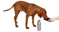 Trinkflasche und Reisenapf Hunde für unterwegs