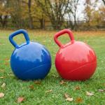 Pferdeball