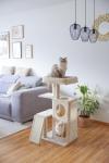 Katzenkratzbaum beige