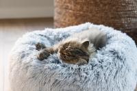 orthopädisches Katzenbett Siba